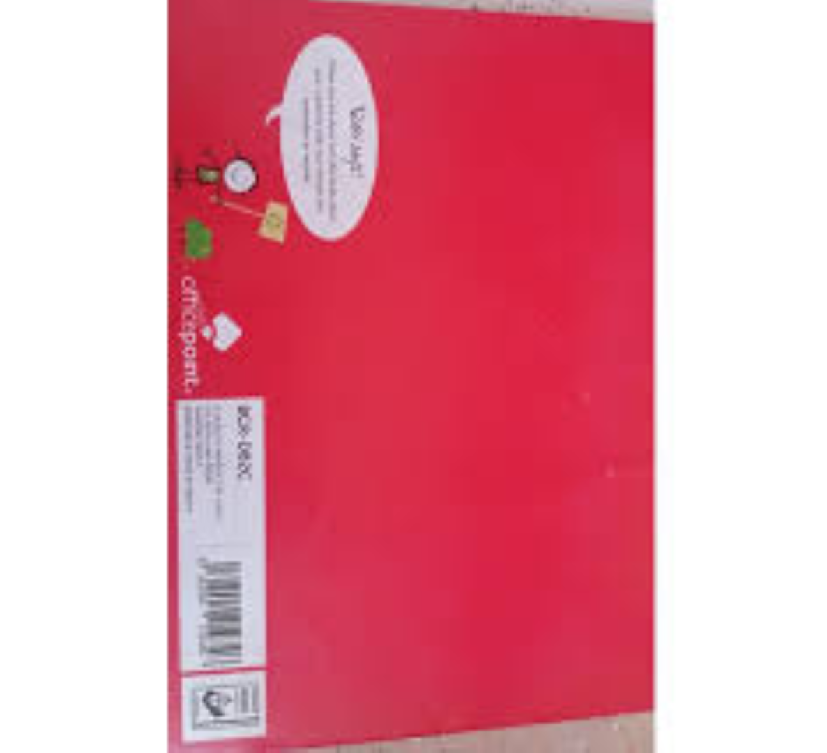VEDA DRAWING BOOK A4 BCR-DB2C